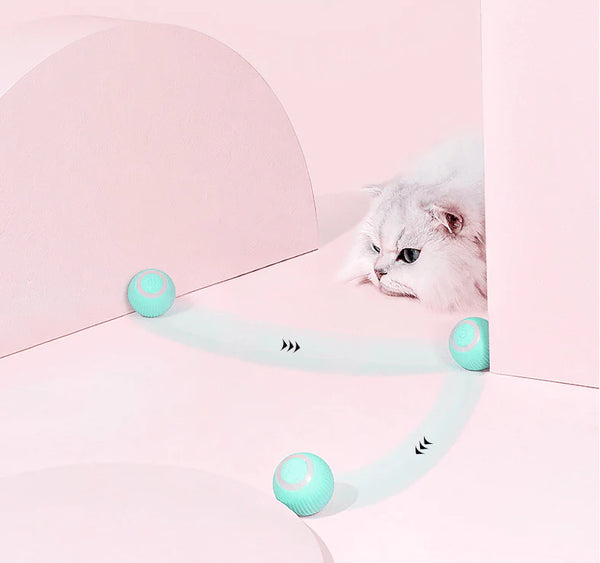 Bolinha Eletrônica Para Gatos