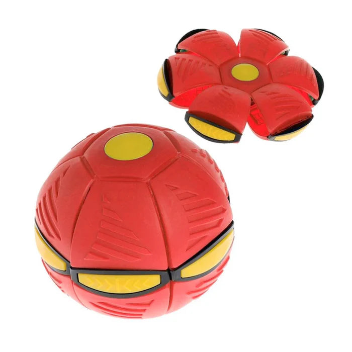 FlyBall Brinquedo Voador para Cães