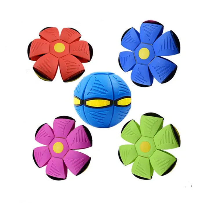 FlyBall Brinquedo Voador para Cães