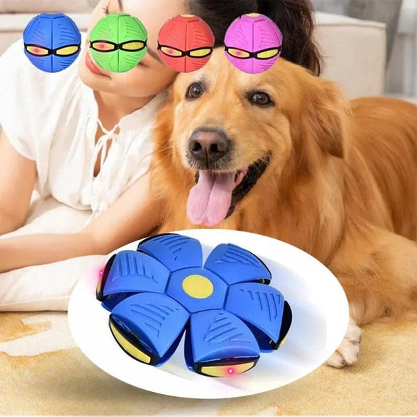 FlyBall Brinquedo Voador para Cães