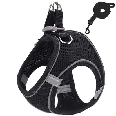 Peitoral de passeio para gatos e cachorros